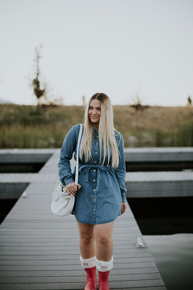 BB Dakota Denim Dress